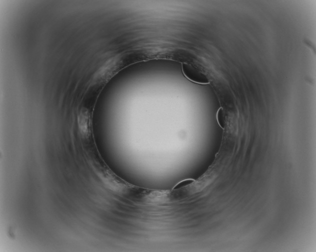 X0000099230138200805011144