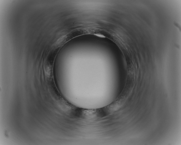 X0000099230139200805011144