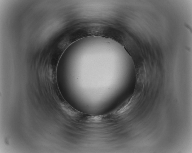 X0000099230140200805011144