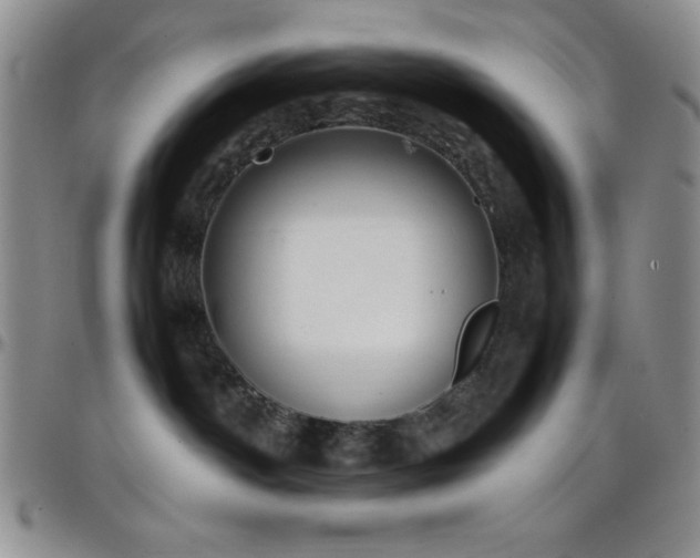 X0000099230142200805011144