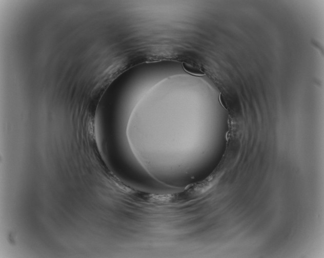 X0000099230143200805011144