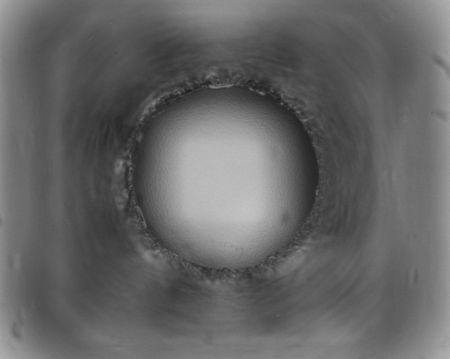 X0000099230144200805011144