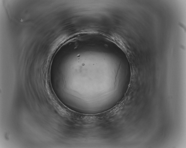 X0000099230145200805011144