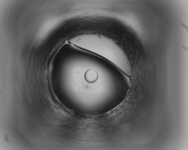 X0000099230146200805011144