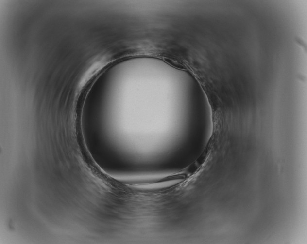 X0000099230150200805011144