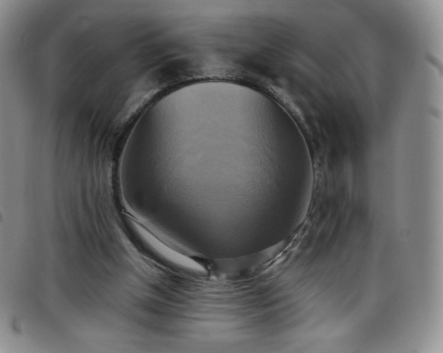 X0000099230154200805011144