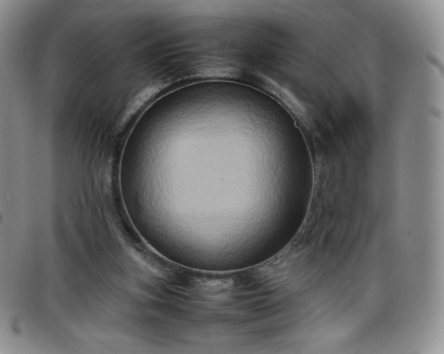 X0000099230155200805011144