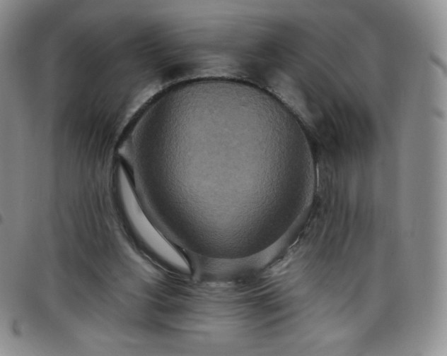 X0000099230156200805011144