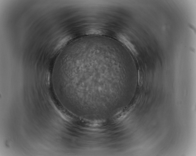 X0000099230157200805011144