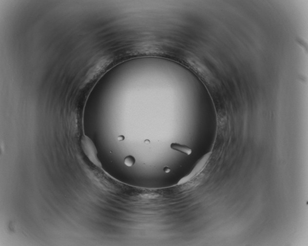 X0000099230158200805011144