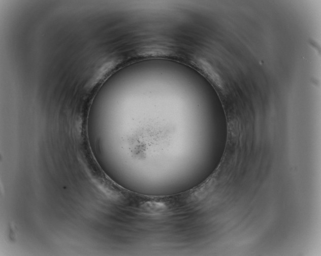 X0000099230159200805011144