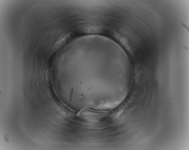 X0000099230161200805011144