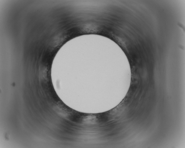 X0000099230162200805011144