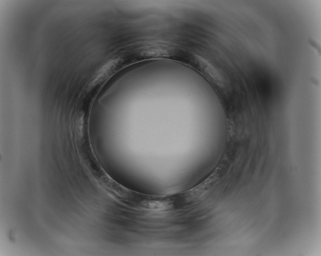 X0000099230163200805011144