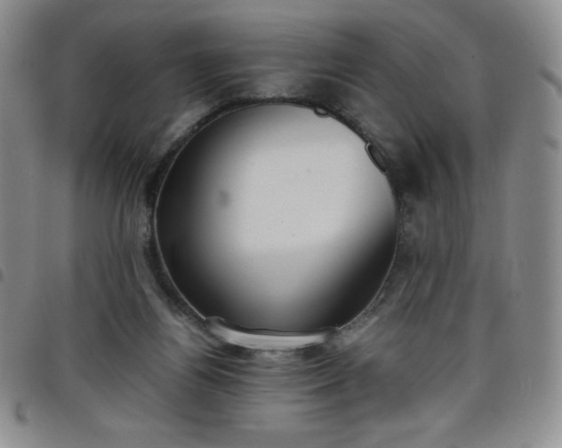 X0000099230164200805011144