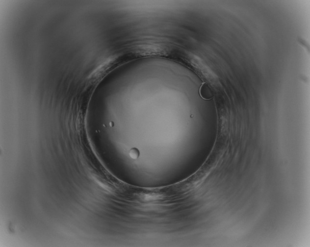 X0000099230165200805011144