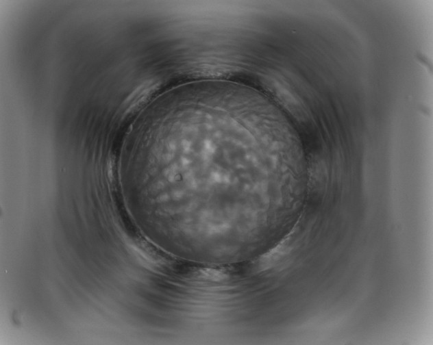 X0000099230166200805011144