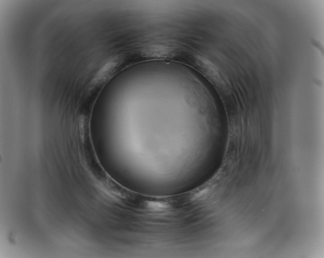 X0000099230167200805011144