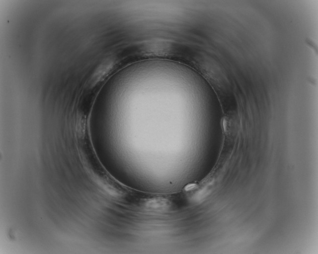 X0000099230168200805011144