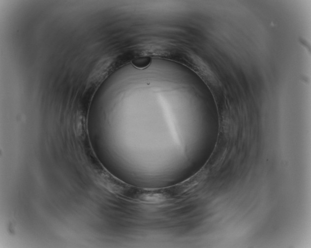 X0000099230169200805011144