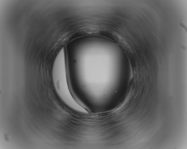 X0000099230170200805011144