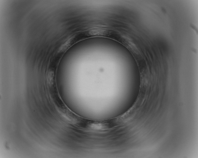 X0000099230171200805011144