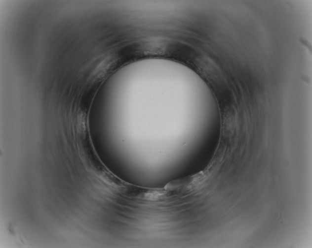 X0000099230172200805011144