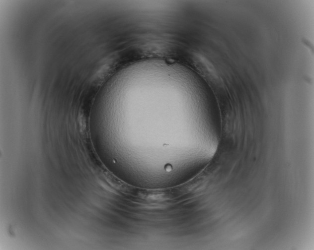 X0000099230173200805011144