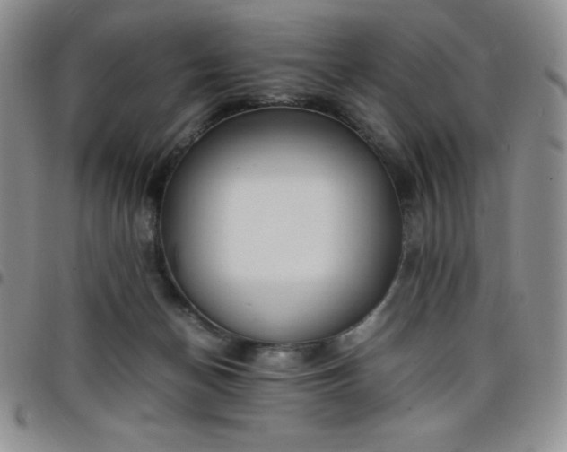 X0000099230174200805011144