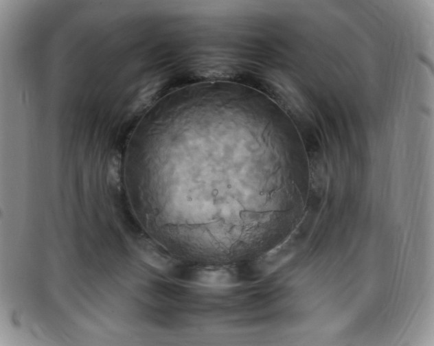 X0000099230175200805011144