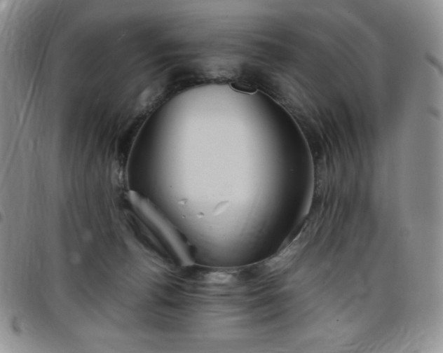 X0000099230176200805011144