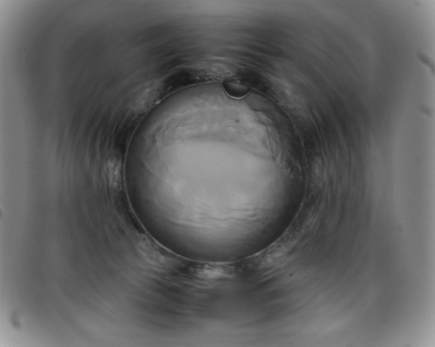 X0000099230177200805011144