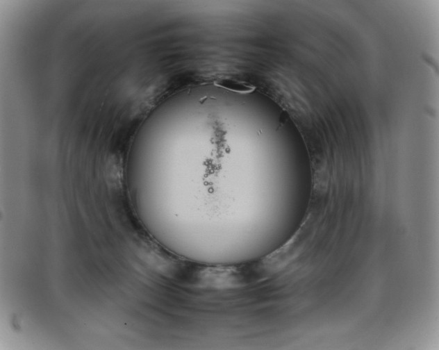 X0000099230179200805011144