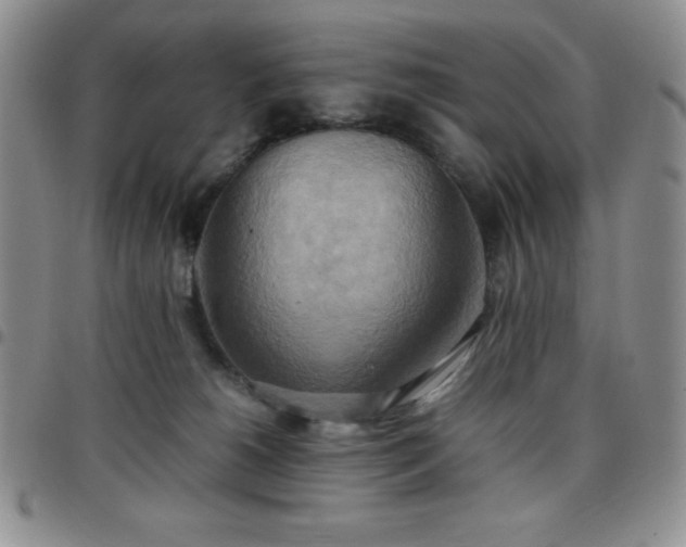 X0000099230180200805011144