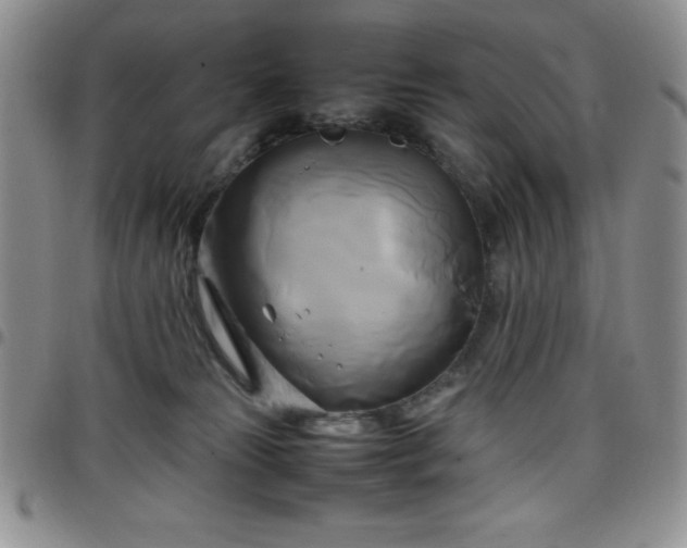 X0000099230181200805011144