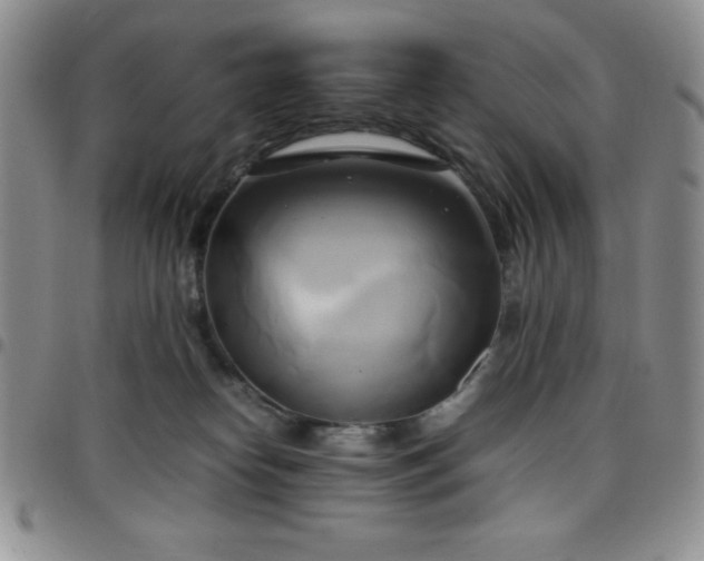 X0000099230182200805011144