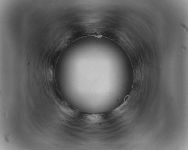 X0000099230183200805011144