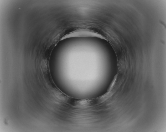 X0000099230184200805011144