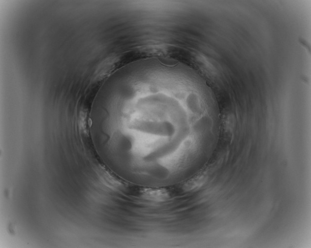 X0000099230185200805011144