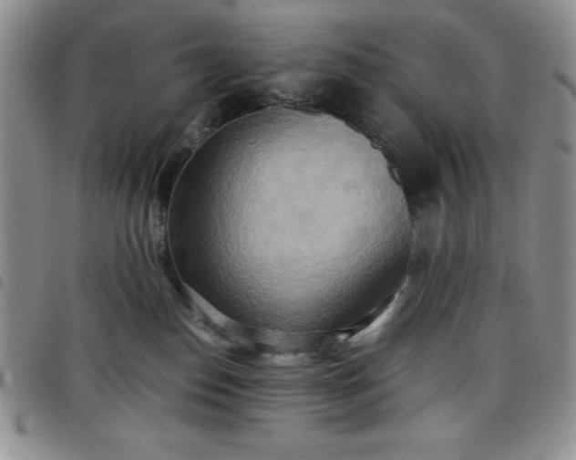 X0000099230186200805011144