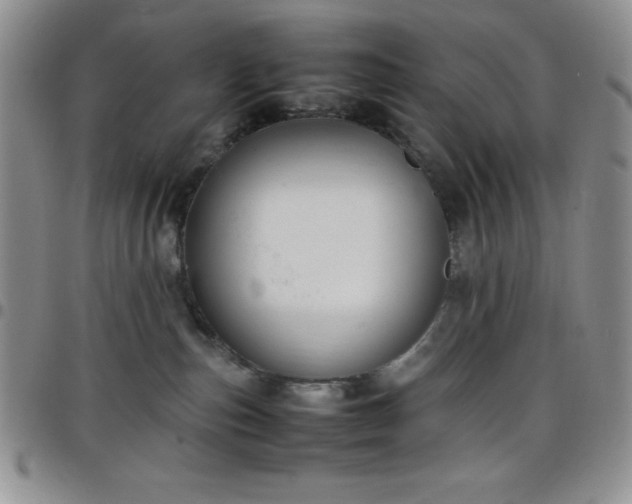 X0000099230187200805011144