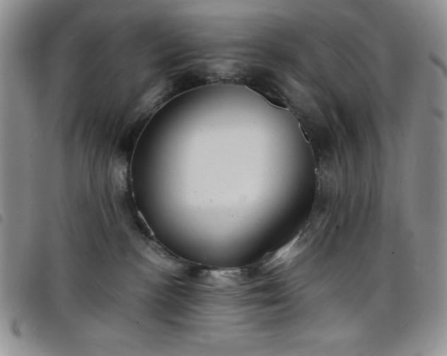 X0000099230188200805011144