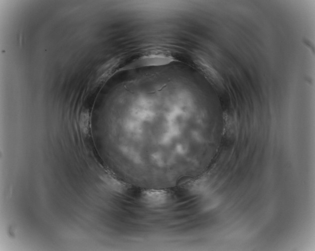 X0000099230189200805011144