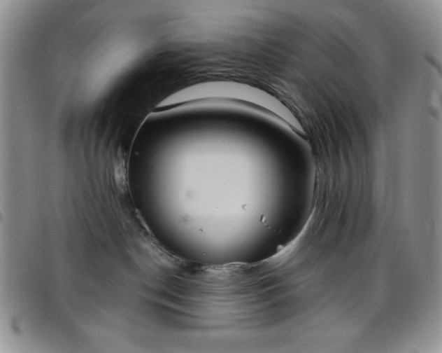 X0000099230190200805011144