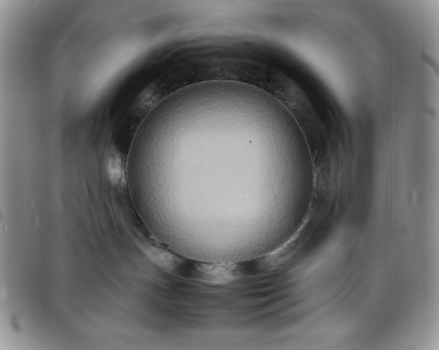 X0000099230191200805011144