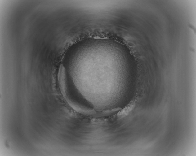 X0000099230192200805011144