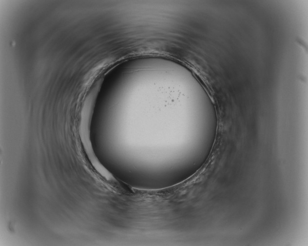 X0000099230193200805011144