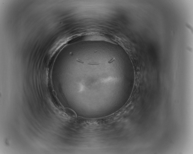 X0000099230194200805011144