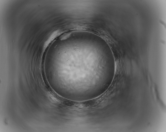 X0000099230195200805011144