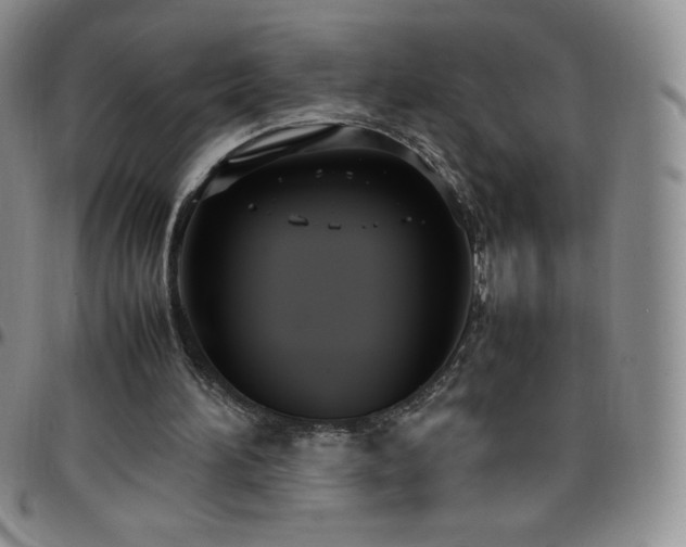 X0000099230196200805011144